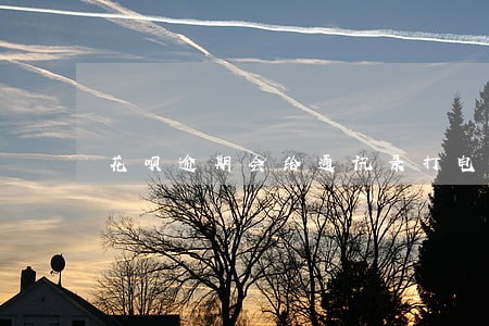 花呗逾期会给通讯录打电话么
