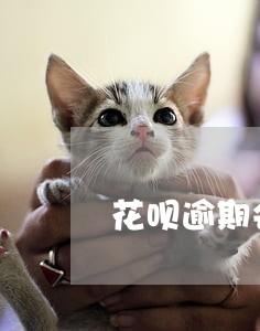 花呗逾期会联系其他人吗 花呗逾期会联系其他人吗