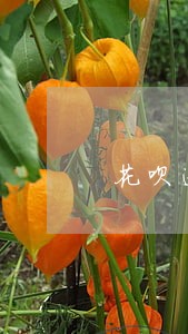 花呗逾期会联系工作的地方吗 花呗逾期会联系工作的地方吗