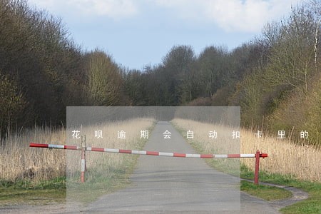 花呗逾期会自动扣卡里的钱嘛 花呗逾期会自动扣卡里的钱嘛