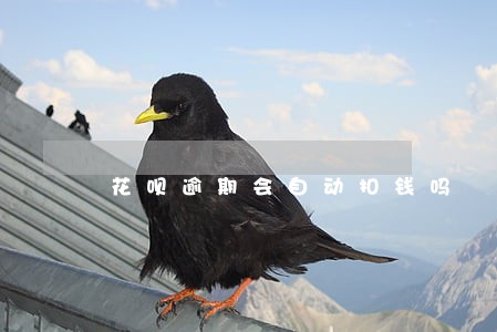 花呗逾期会自动扣钱吗
