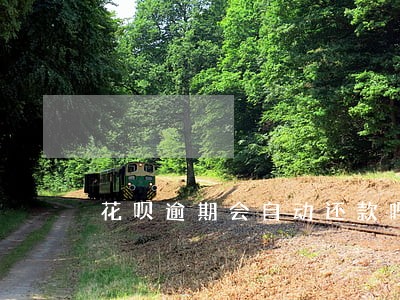 花呗逾期会自动还款吗 花呗逾期会自动还款吗