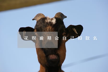 花呗逾期会自己扣款么