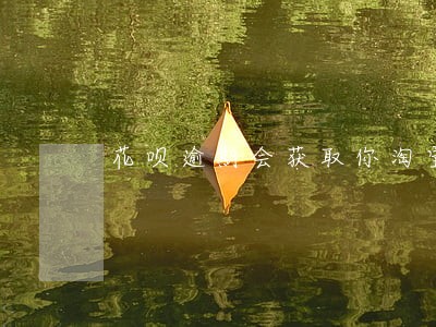 花呗逾期会获取你淘宝资料 花呗逾期会获取你淘宝资料