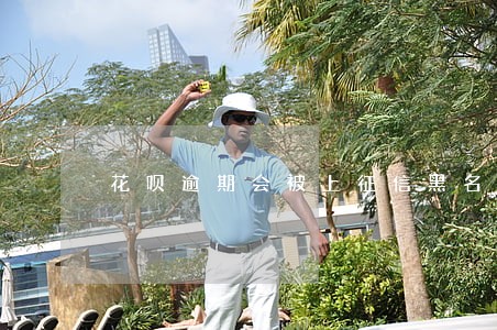 花呗逾期会被上征信黑名单吗