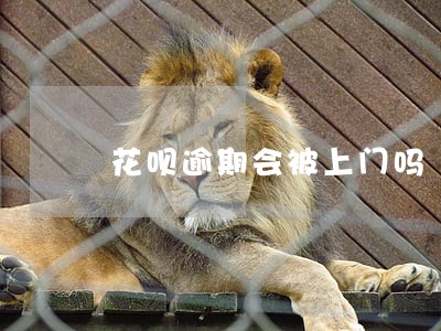 花呗逾期会被上门吗 花呗逾期会被上门吗