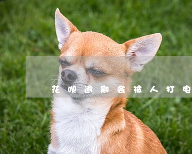 花呗逾期会被人打电话催吗 花呗逾期会被人打电话催吗