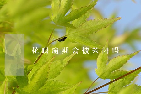 花呗逾期会被关闭吗 花呗逾期会被关闭吗