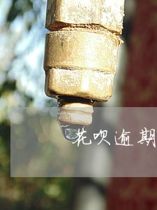 花呗逾期会被冻结信用卡吗 花呗逾期会被冻结信用卡吗