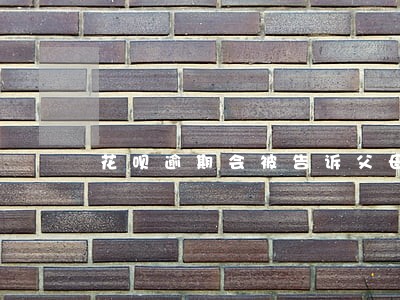 花呗逾期会被告诉父母吗 花呗逾期会被告诉父母吗