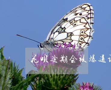 花呗逾期会被爆通讯录 花呗逾期会被爆通讯录
