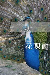 花呗逾期会被立案吗 花呗逾期会被立案吗