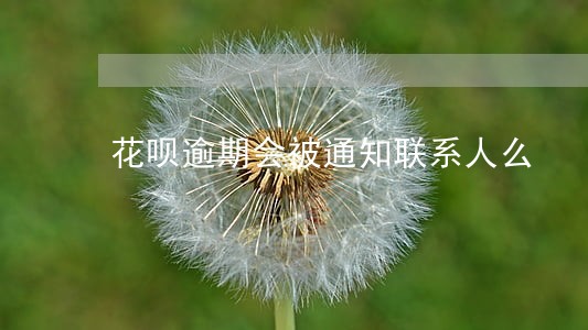 花呗逾期会被通知联系人么 花呗逾期会被通知联系人么