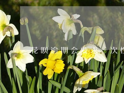 花呗逾期会要求一次性结清吗 花呗逾期会要求一次性结清吗