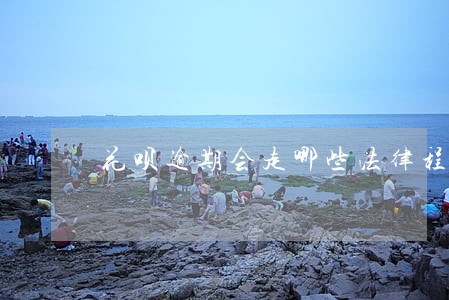 花呗逾期会走哪些法律程序 花呗逾期会走哪些法律程序