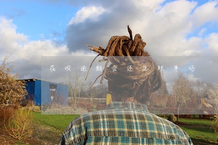 花呗逾期会还总账单吗 花呗逾期会还总账单吗