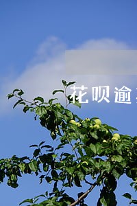 花呗逾期会进入失信黑名单吗 花呗逾期会进入失信黑名单吗