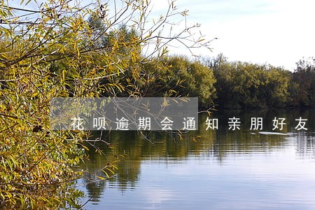 花呗逾期会通知亲朋好友吗