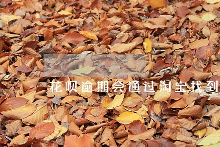 花呗逾期会通过淘宝找到我吗 花呗逾期会通过淘宝找到我吗