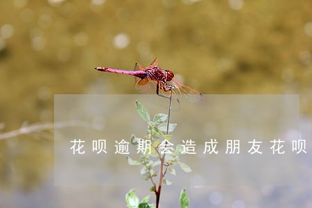 花呗逾期会造成朋友花呗用不了吗 花呗逾期会造成朋友花呗用不了吗