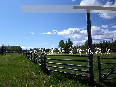 花呗逾期会降低额度 花呗逾期会降低额度