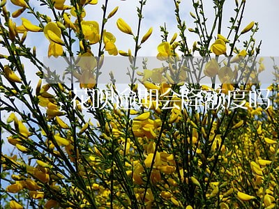 花呗逾期会降额度吗 花呗逾期会降额度吗