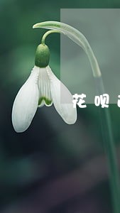 花呗逾期但已结清影响办理车贷吗 花呗逾期但已结清影响办理车贷吗