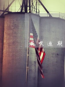 花呗逾期但手机号换了怎么办 花呗逾期但手机号换了怎么办