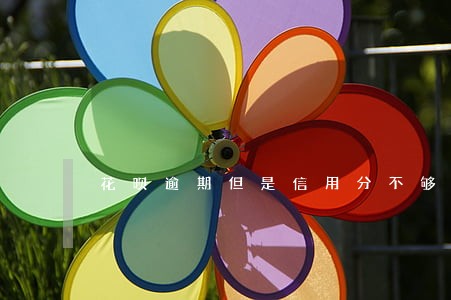 花呗逾期但是信用分不够怎么办 花呗逾期但是信用分不够怎么办