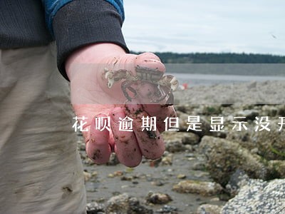 花呗逾期但是显示没开通花呗 花呗逾期但是显示没开通花呗