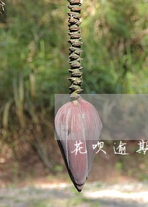 花呗逾期但是没有账单 花呗逾期但是没有账单