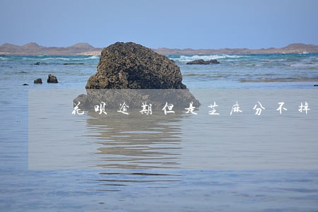 花呗逾期但是芝麻分不掉怎么回事 花呗逾期但是芝麻分不掉怎么回事