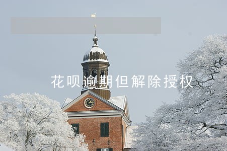 花呗逾期但解除授权 花呗逾期但解除授权