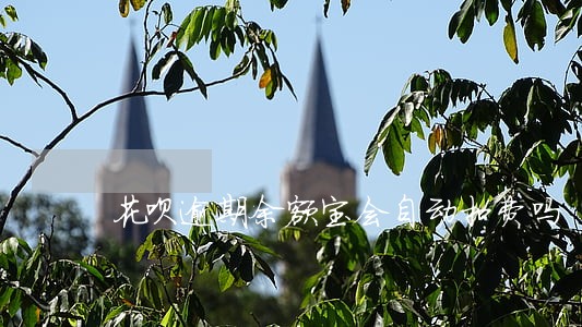 花呗逾期余额宝会自动扣费吗 花呗逾期余额宝会自动扣费吗