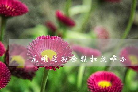 花呗逾期余额扣款咋办 花呗逾期余额扣款咋办