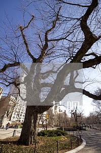 花呗逾期余额每天分时间扣么