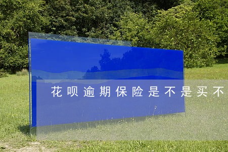花呗逾期保险是不是买不了 花呗逾期保险是不是买不了