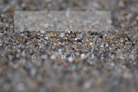 花呗逾期信息多久可以消除