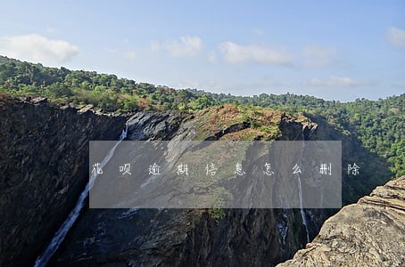 花呗逾期信息怎么删除