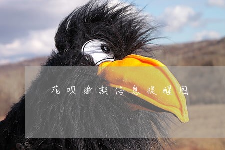 花呗逾期信息提醒图 花呗逾期信息提醒图