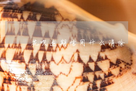 花呗逾期信用什么消除 花呗逾期信用什么消除