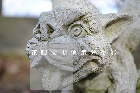 花呗逾期信用分不涨 花呗逾期信用分不涨