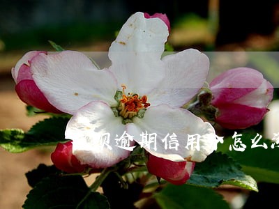 花呗逾期信用分怎么涨 花呗逾期信用分怎么涨