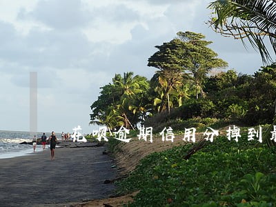 花呗逾期信用分掉到最低多少 花呗逾期信用分掉到最低多少