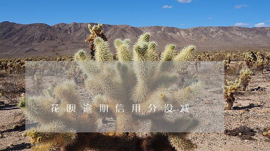 花呗逾期信用分没减 花呗逾期信用分没减