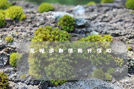 花呗逾期信用分没扣 花呗逾期信用分没扣