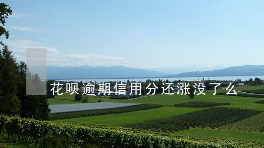 花呗逾期信用分还涨没了么 花呗逾期信用分还涨没了么