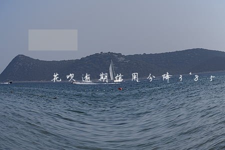 花呗逾期信用分降385 花呗逾期信用分降385