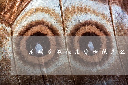 花呗逾期信用分降低怎么回事 花呗逾期信用分降低怎么回事