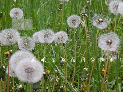 花呗逾期信用分降到470 花呗逾期信用分降到470